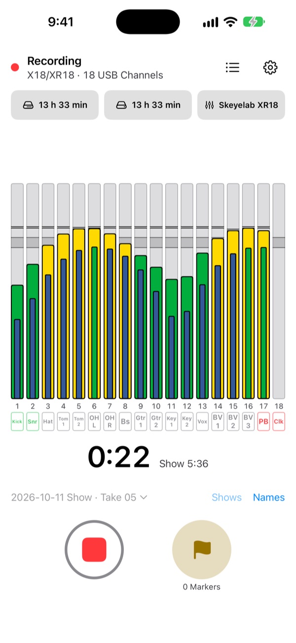 The record screen in the Sunlight appearance: a white background, black text and strong meter colors for bright stages.